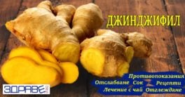 Джинджифил като лекарство, Джинджифил при деца, При грип, Инхалации при хрема и кашлица, Против рак, Лечение на Ревматоиден артрит, Джинджифил и босвелия, При диабет, При гастрит и язва може ли джинджифил, При кръвн о помага или вреди, Джинджифил Като афродизиак, Маски за лице