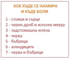 Болки ниско долу в корема и газове. Какво да правим, ако са вдясно от пъпа? Ако има и подуване? 7 bolki v korema okolo papa gore dolu 04 2