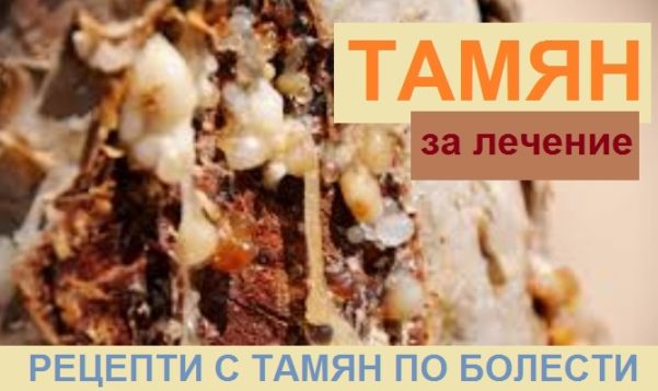 Бял тамян, лечение, рецепти